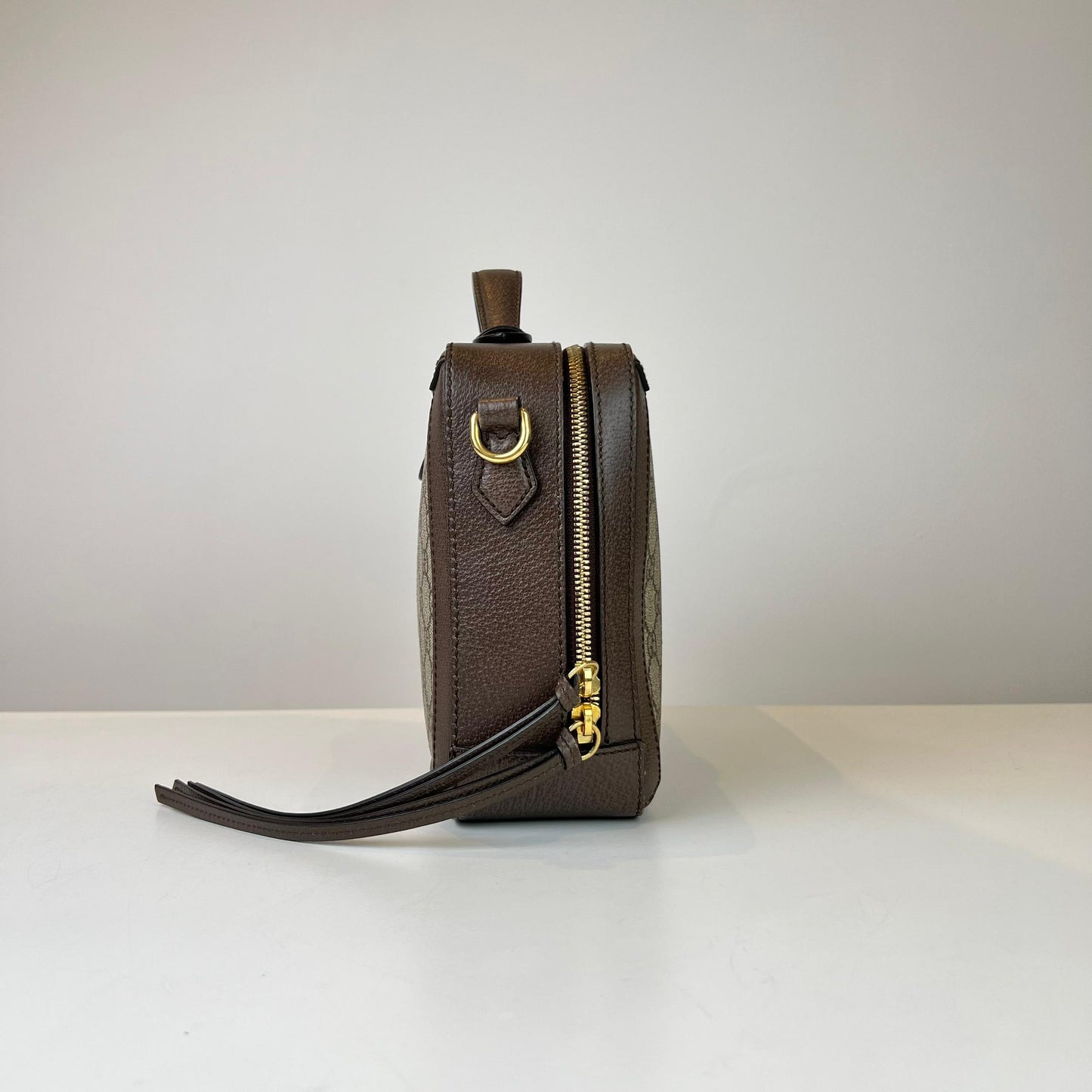 Gucci Ophidia Shoulder Bag
