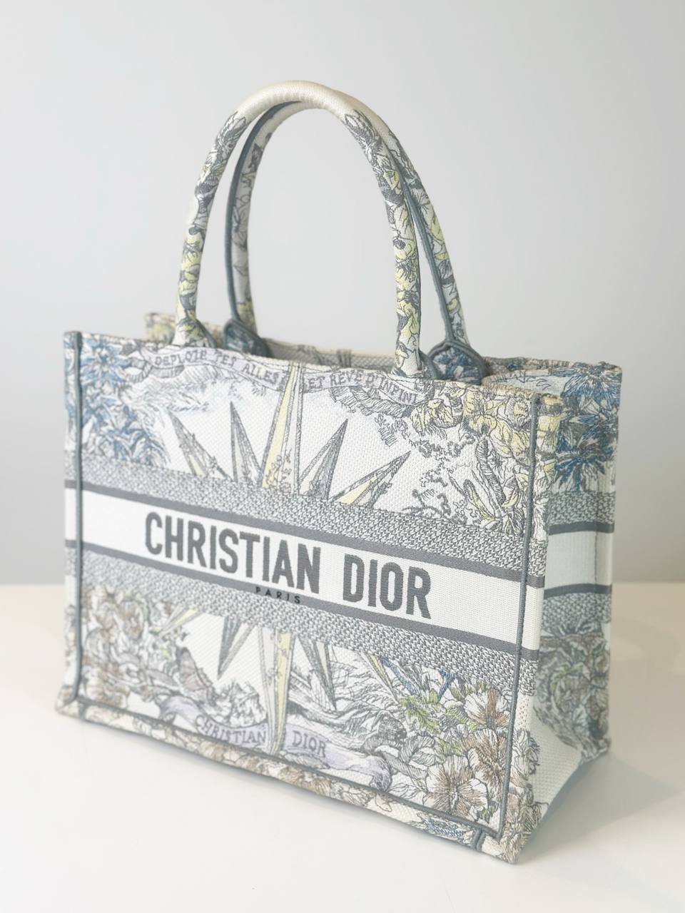 Dior Book Tote Bag Medium Size